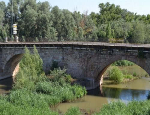 Puente califal sobre el Henares